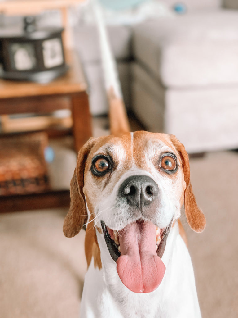 Sunny's Adoption Story