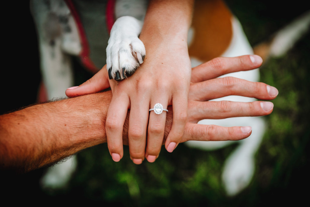 Engagement Photoshoot with Your Dog