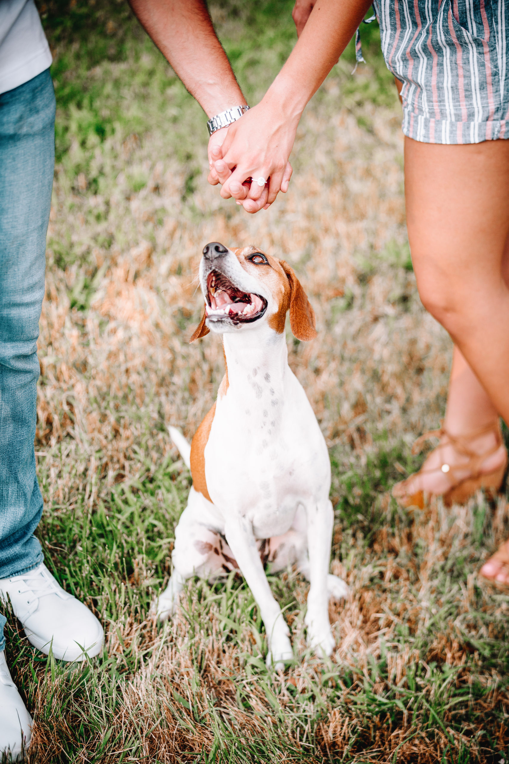 Engagement Photoshoot with Your Dog