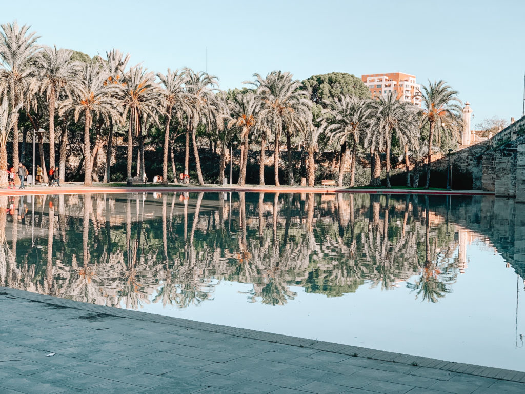 River Turia, Valencia, Spain