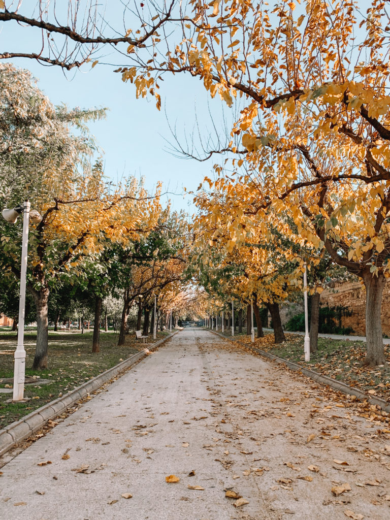 River Turia, Valencia, Spain