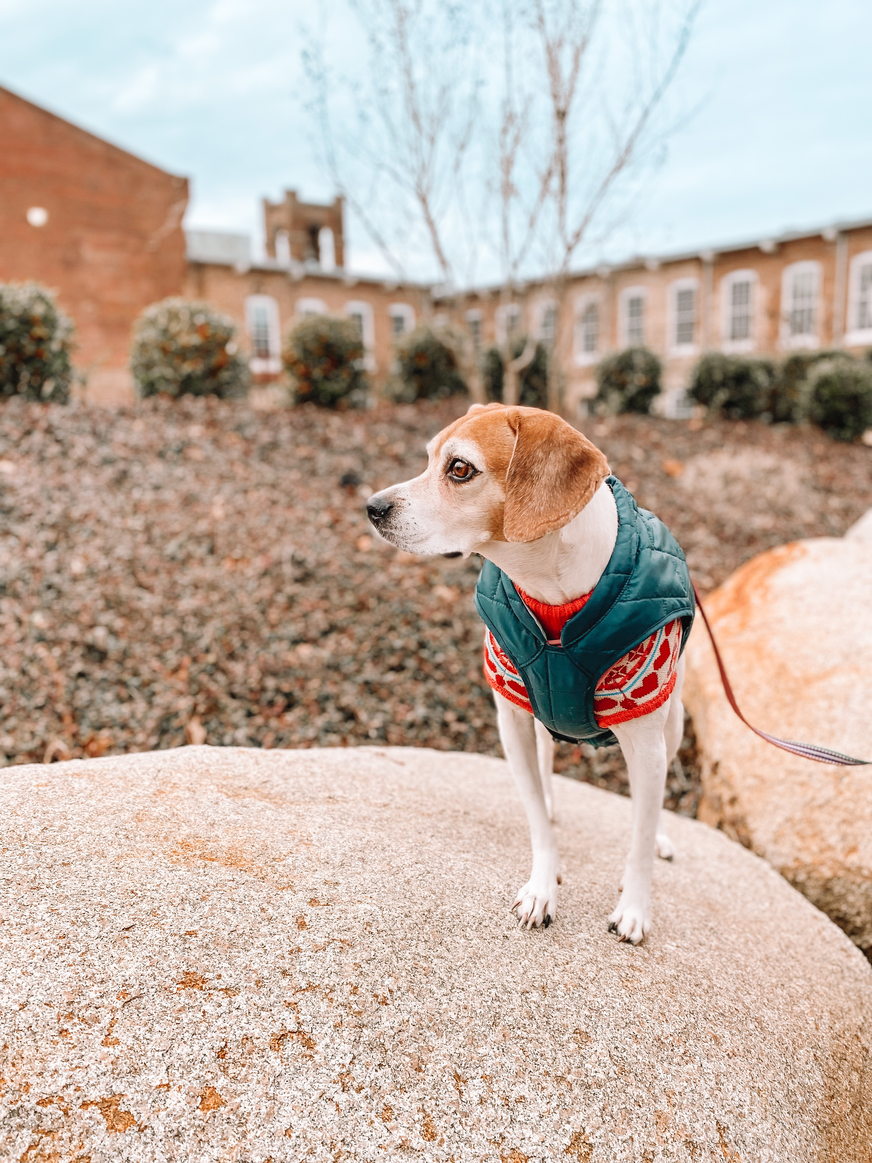 Asheville, NC | Our Cozy Cabin Weekend