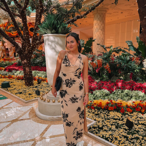 Gatlinburg, TN | Our Dog Friendly Winter Getaway